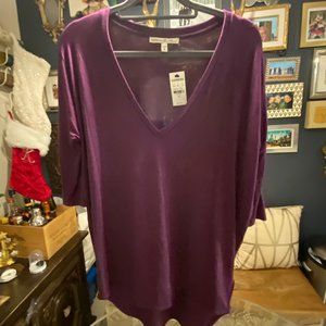 Express- NWT Purple V-Neck Tunic, Fitted Sleeves
